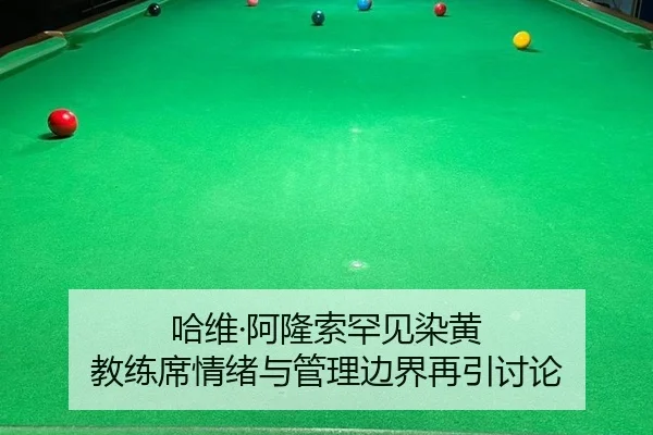 ha-wei-a-long-suo-han-jian-ran-huang-jiao-lian-xi-qing-xu-yu-guan-li-bian-jie-zai-yin-tao-lun-2-483.jpg
